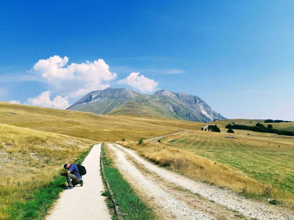 Accessible pathway