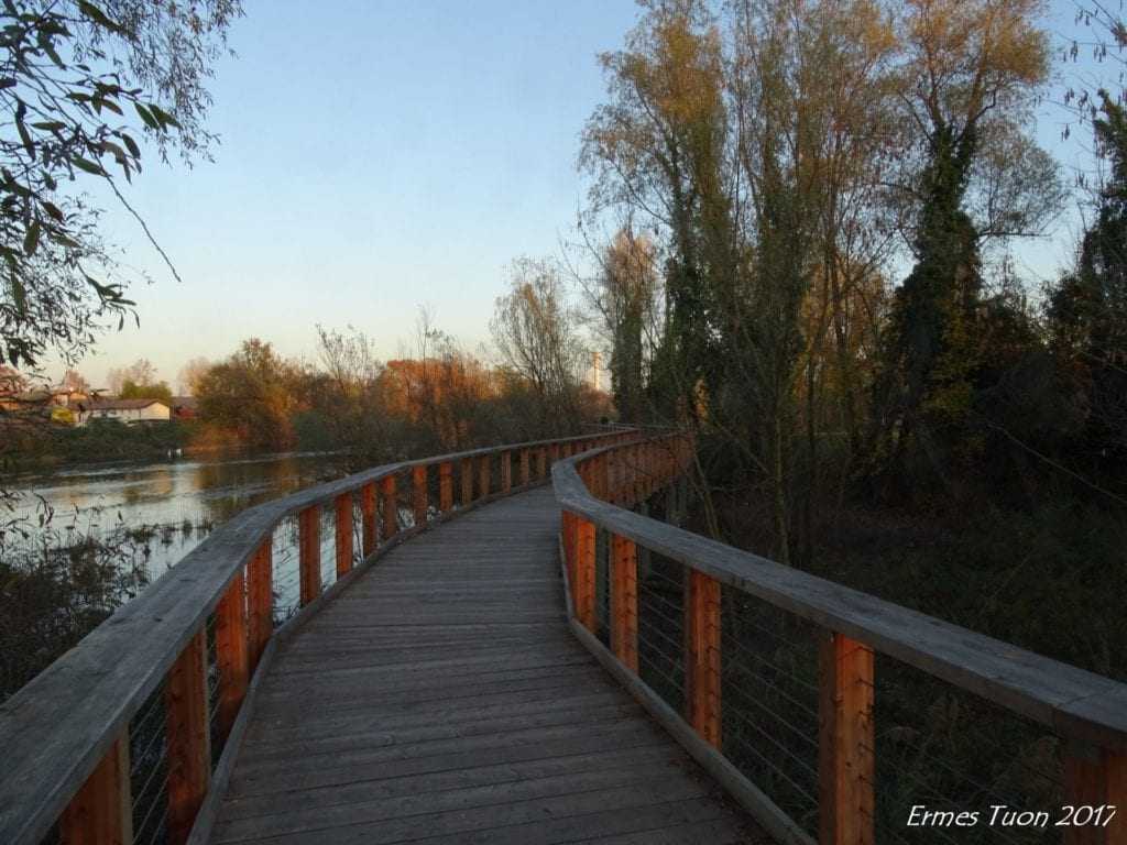 Accessible pathways