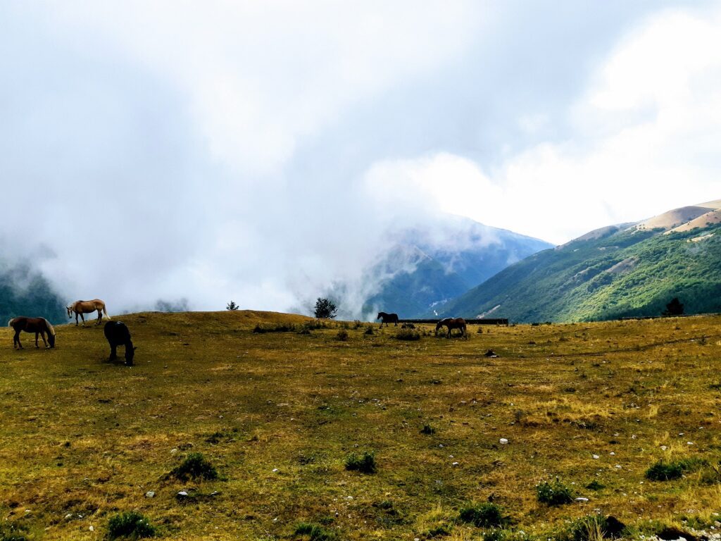 Tea at 5 n the Sibillini Mountains - ASviS 2022 Festival